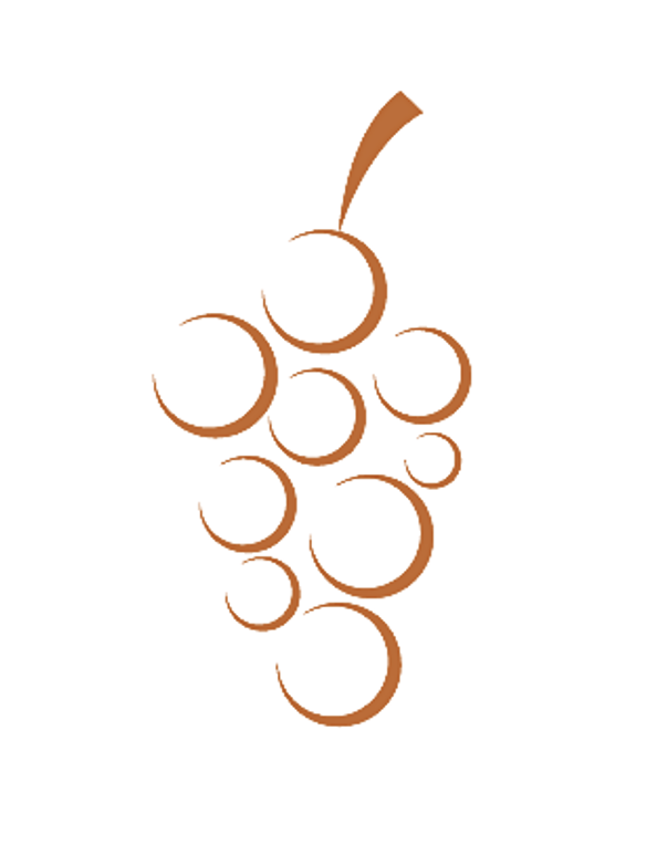 Brown Grape Technologies doo logo