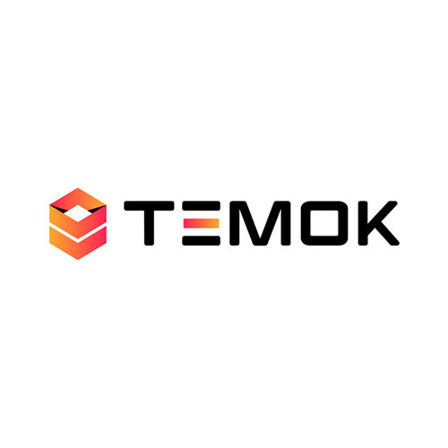 Temok IT Services on Elioplus