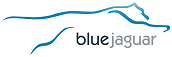 Blue Jaguar Consulting cc on Elioplus