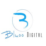 Bluoo Digital on Elioplus