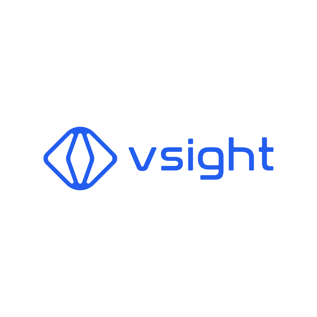 VSight