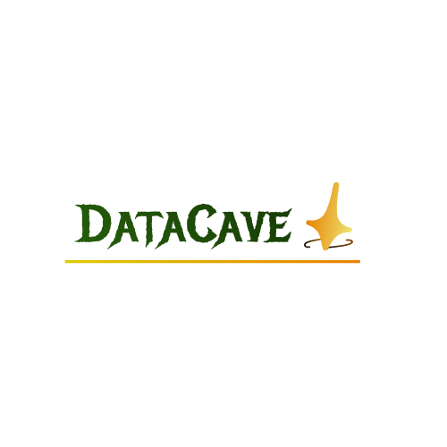DataCave Software Solutions & Consultations on Elioplus