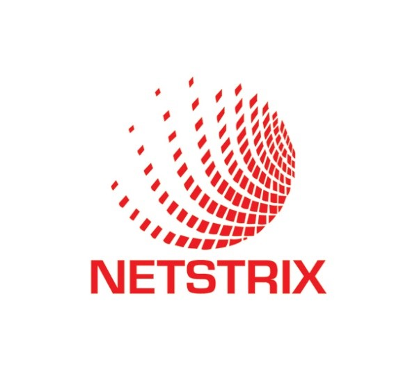 NETSTRIX Co Ltd on Elioplus