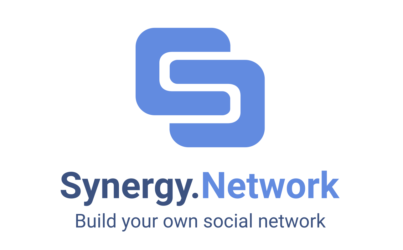 Synergy.Network logo