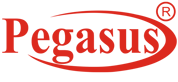 Pegasus International Computer Co  in Elioplus